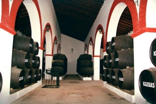 Instalaciones de la bodega